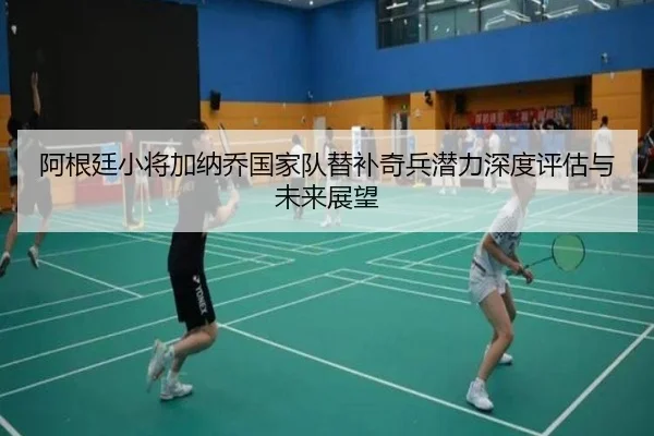 阿根廷小将加纳乔国家队替补奇兵潜力深度评估与未来展望